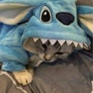 kaiius