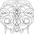 kainlogan07_gmail_com