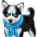 kalebjpullen_gmail_com