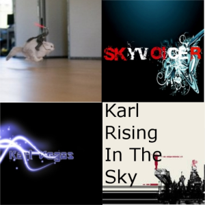 Karl Vegas, Uprising, Skyvoicer
