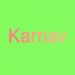 karnavchaudhry2011
