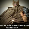karpenko_anton10000_gmail_com