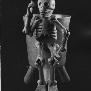 kasserSan