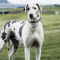 katherine_aldworth