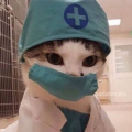 KatOfficial