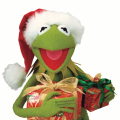Kermit69