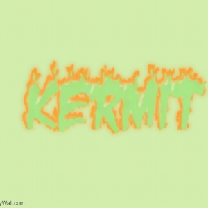 kermitopp