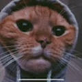 kexter874_gmail_com