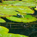 khanboro_gmail_com