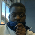 king_sparrow