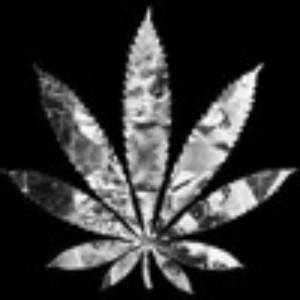 Kingxstonerr