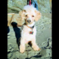 kirstykumpula4_gmail_com