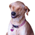 kishko_ke1996_gmail_com