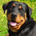 kisouthwor_acsgmail_net