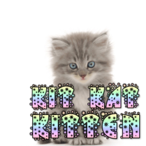 kitkatkitten