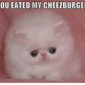 KITTY_DANCE