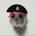 KittyCat69