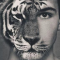 KittyGuy