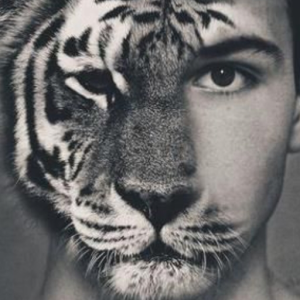 KittyGuy