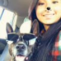 knebo024_gmail_com
