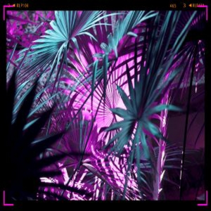 Knight-Fall