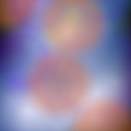 koarara65_gmail_com