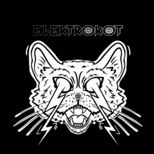 Elektrokot