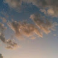 koki_tino_gmail_com