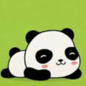 Koreanpanda345