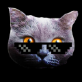 kott_dust