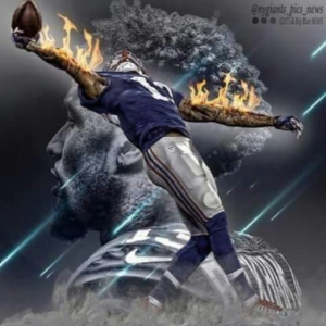 krice11