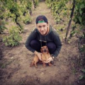 krisztian_stamler