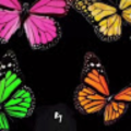 ktiet_ichsphila_org