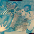 Spinno_topo
