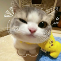 Kythesia07