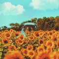 .Afterhours_