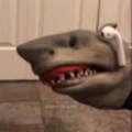 l3rklynn