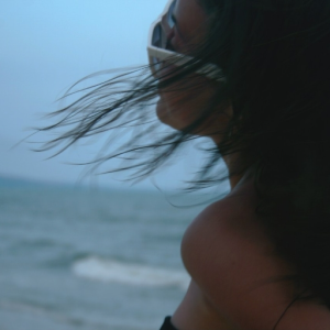 laflaneuse