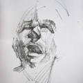 laicis_plecis