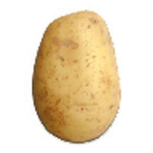 lcavener_rsu10_org