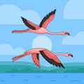 LCflamingo