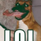 LD0G