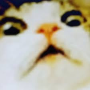 Leandercool9