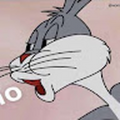 lee800