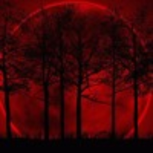 leechwitch