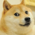 LeJLeS