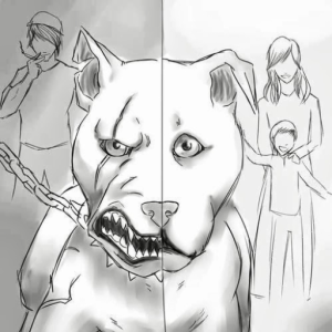 LeonelNTool
