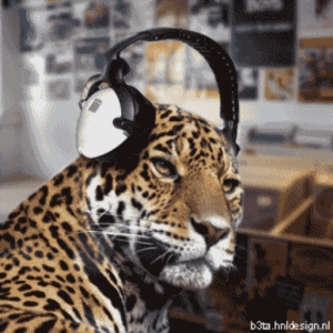 LeopardBeat