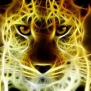 LeopardFire