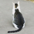 lianass40_gmail_com